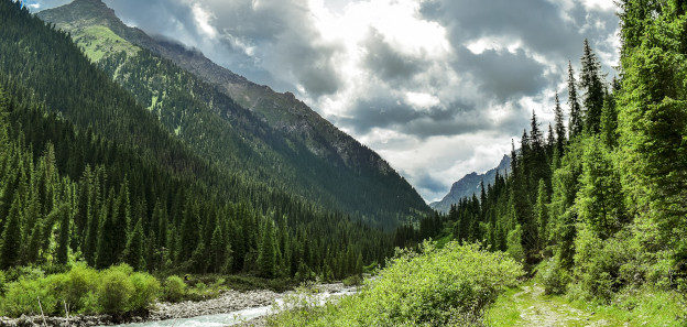 góry-tianshan